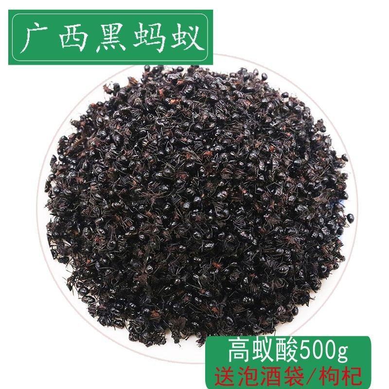 广西大黑蚂蚁干野生山蚁拟黑多刺蚁中药材养生泡酒食用免打蚂