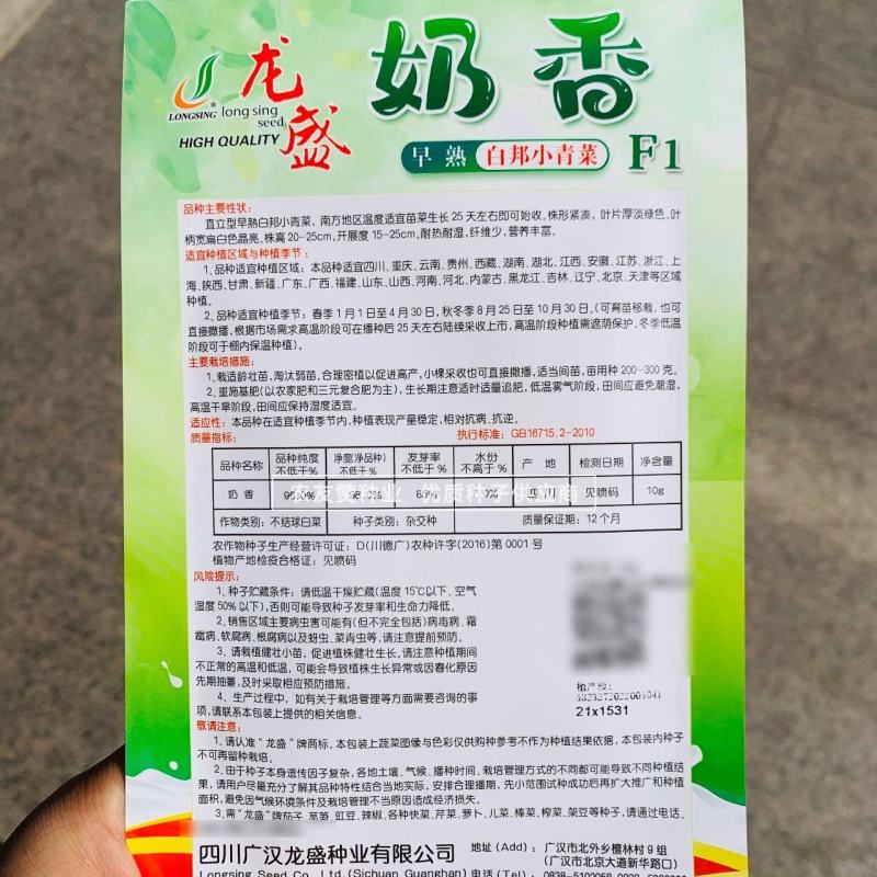 龙盛奶香白邦小青菜种子早熟奶油小白菜种子耐热耐湿纤维少