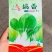 龙盛奶香白邦小青菜种子早熟奶油小白菜种子耐热耐湿纤维少