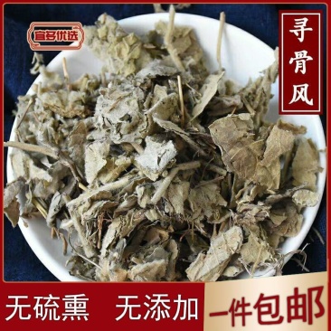 中药材寻骨风清骨风正品白面风天然黄木香猫耳朵毛风草包邮