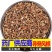 寻骨风根新品上市新货寻骨风根寻骨风根部无干燥剂