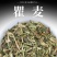 中药材瞿麦正品巨麦翟麦石竹/巨句麦山瞿麦竹节草