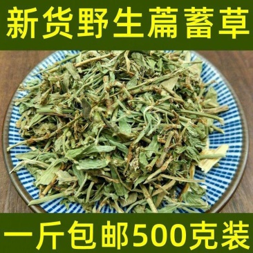 中药材萹蓄草扁蓄草扁竹竹节草蚂蚁草猪牙草道生草