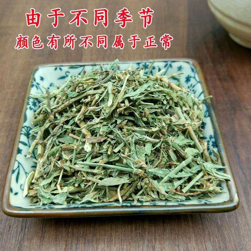 中药材萹蓄草扁蓄草扁竹竹节草蚂蚁草猪牙草道生草