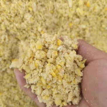 粉碎甜玉米鸡鸭鹅猪牛羊鱼均可使用降低养殖成本