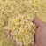 粉碎甜玉米鸡鸭鹅猪牛羊鱼均可使用降低养殖成本