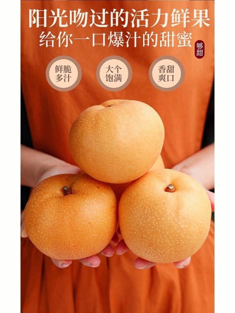 【下架】江苏精品秋月梨，连云港市东海县精品秋月梨
