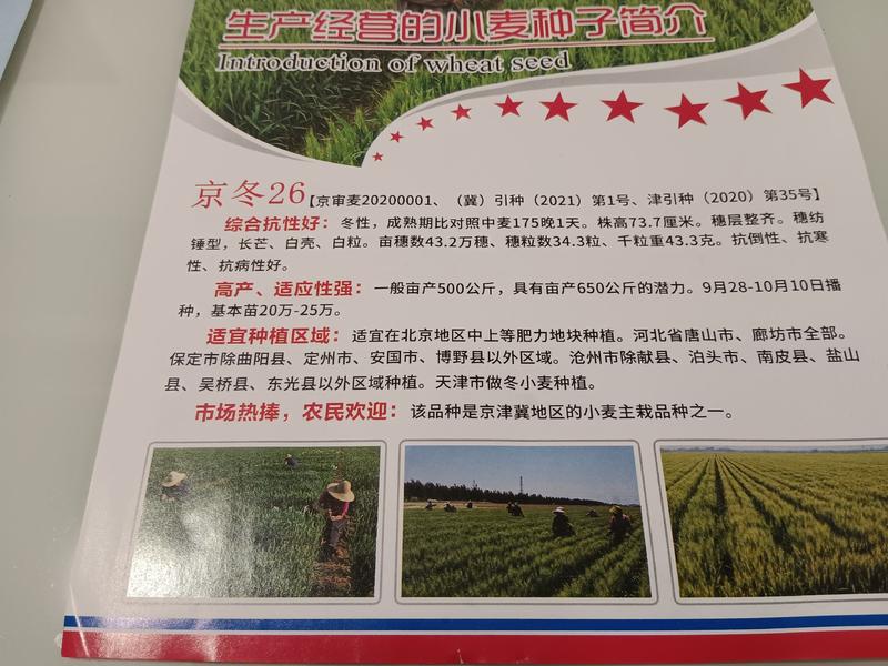 河北宏武农业科技有限公司冬小麦销售