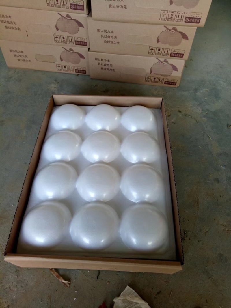精品黄金梨8月上市全国供货量大从优品质保证欢迎来电