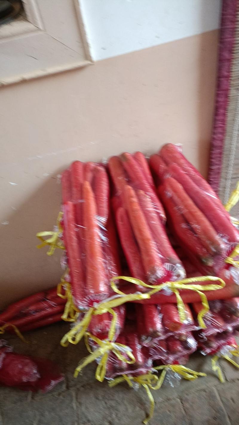 山西渭南大荔秤杆红萝卜常年有货条形顺直全国接单提供包装净菜