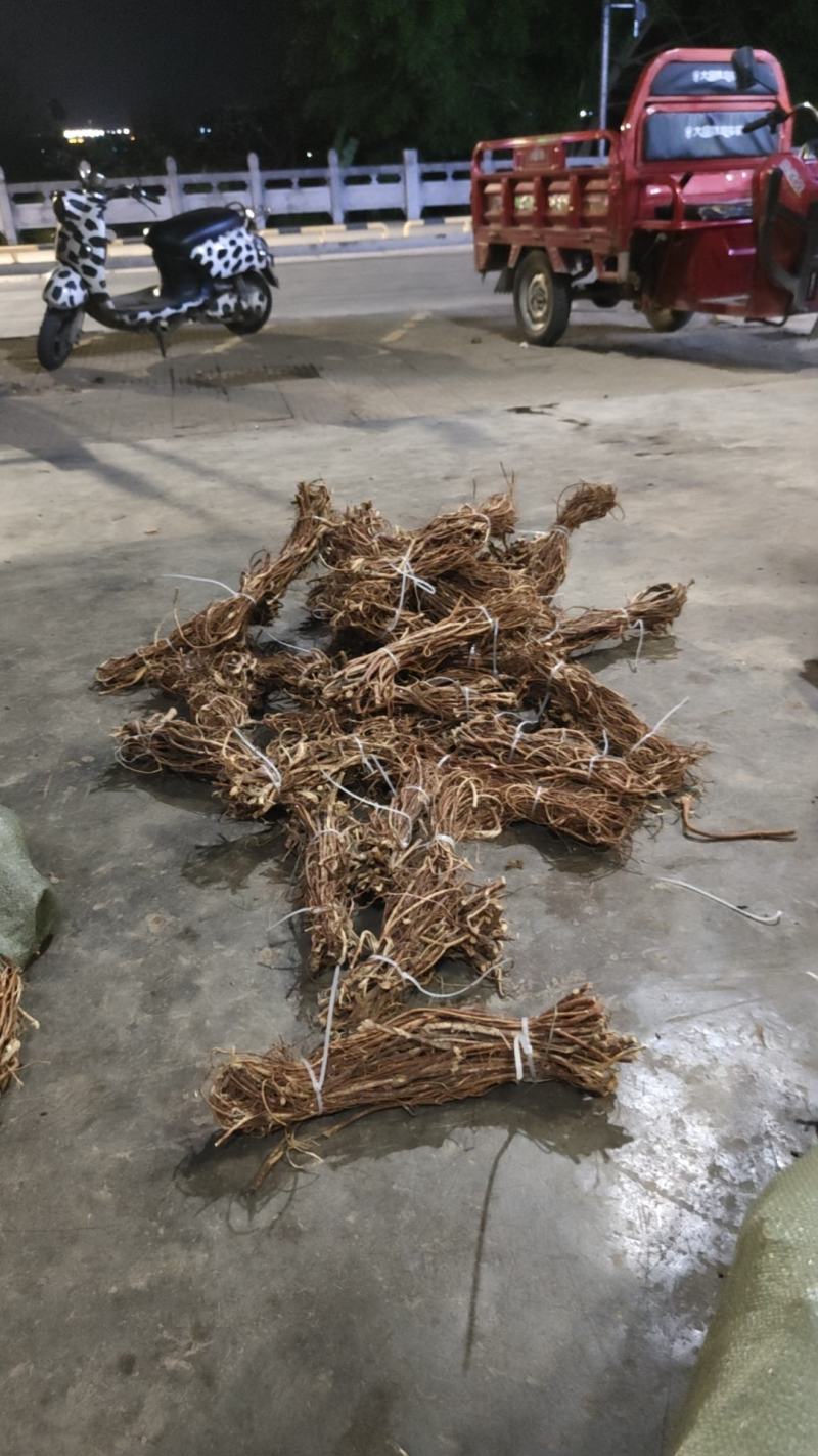 野生五指毛桃小把长把，干货出售