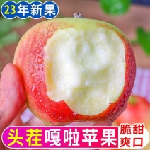 【苹果】辽宁嘎啦苹果大量供应个头整齐口感甜脆对接全国