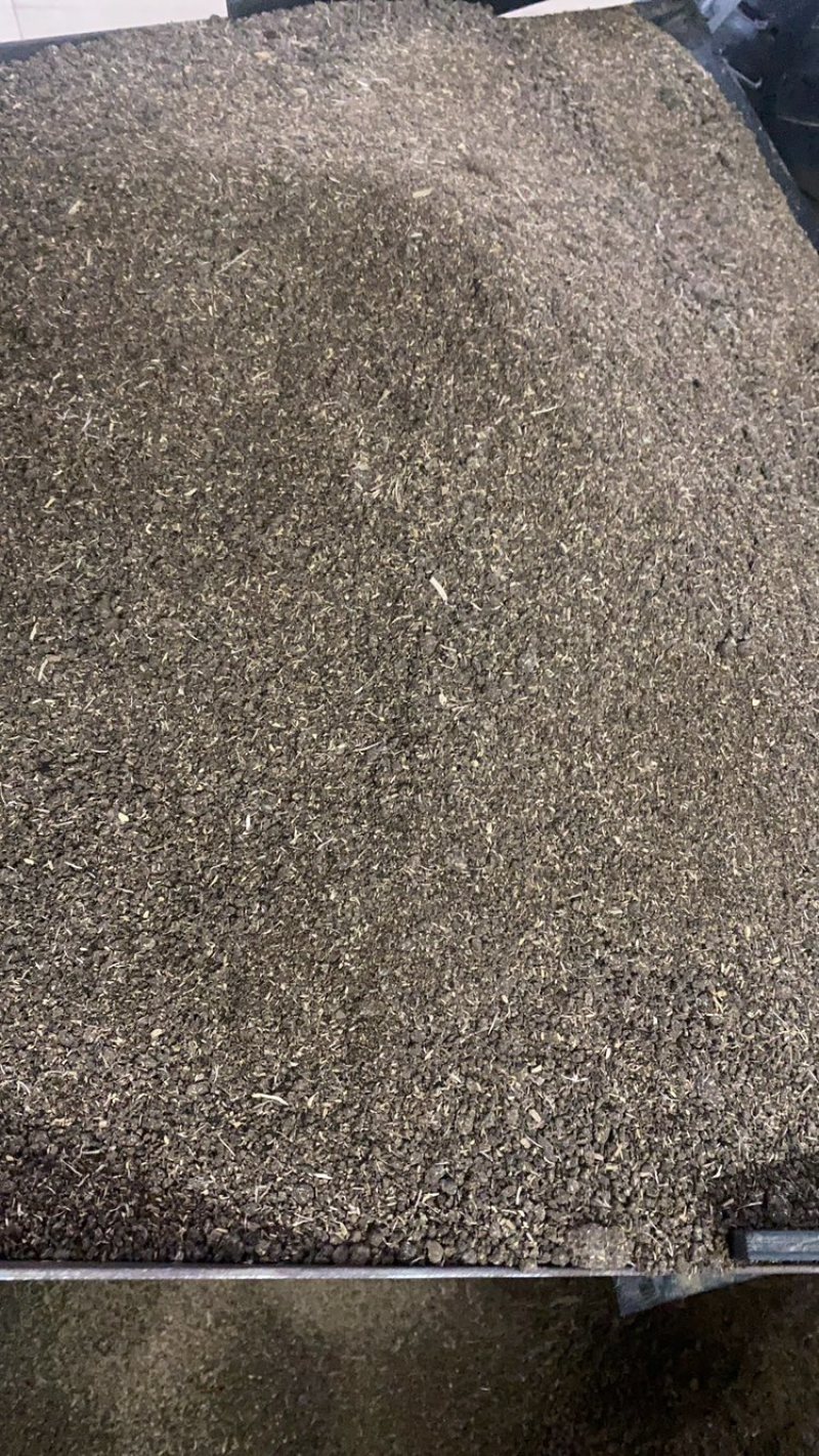 木薯渣ddgs
