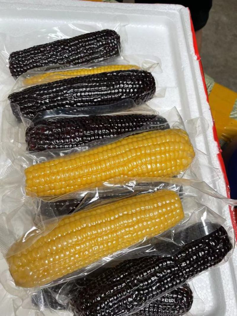 全熟真空煮玉米，黄的黑的都有，一件20个