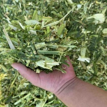 青储玉米秸秆/青储草料/牛羊饲料