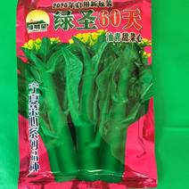 绿明星60天圆叶油青甜菜心种子