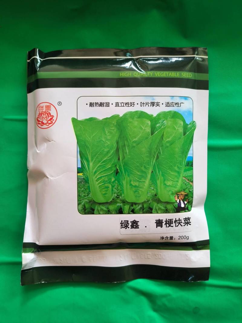 绿梗绿叶快菜种子奶白菜种子毛白菜种子