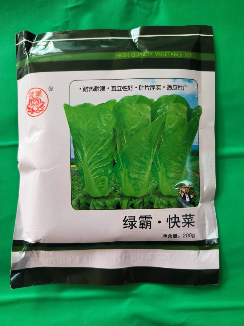 耐热青梗绿叶小白菜种子快菜种子毛白菜种子奶白菜种子