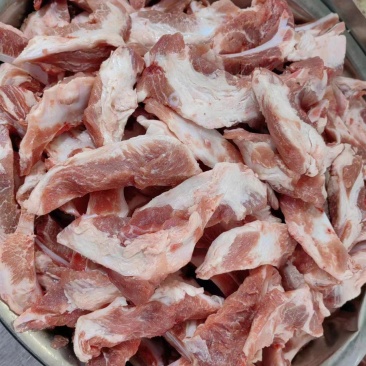 多肉月牙骨