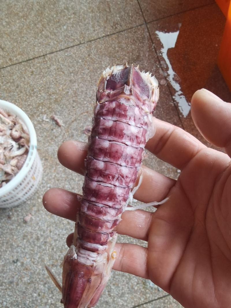 大号皮皮虾