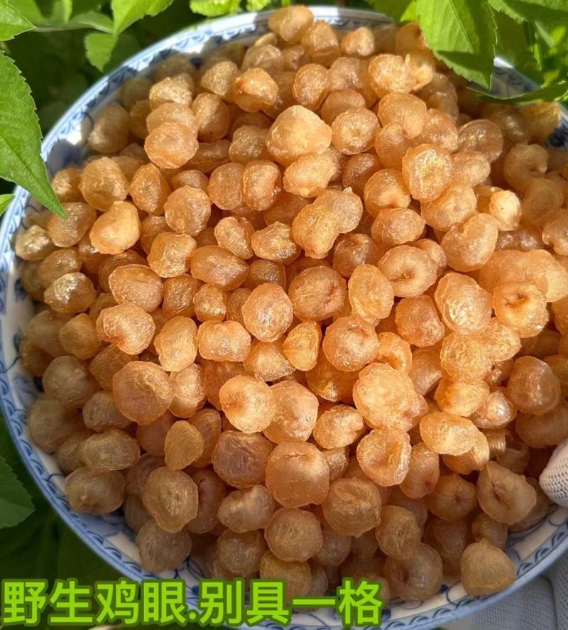 广东高州桂圆产地直发质量保证，价格实惠。
