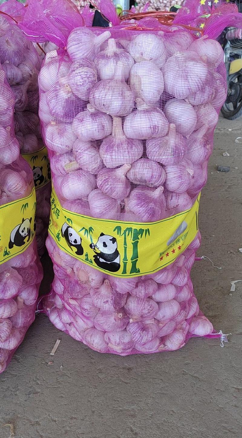 精品紫皮新干蒜(出口级4-5公分)市场货6公分精品加工