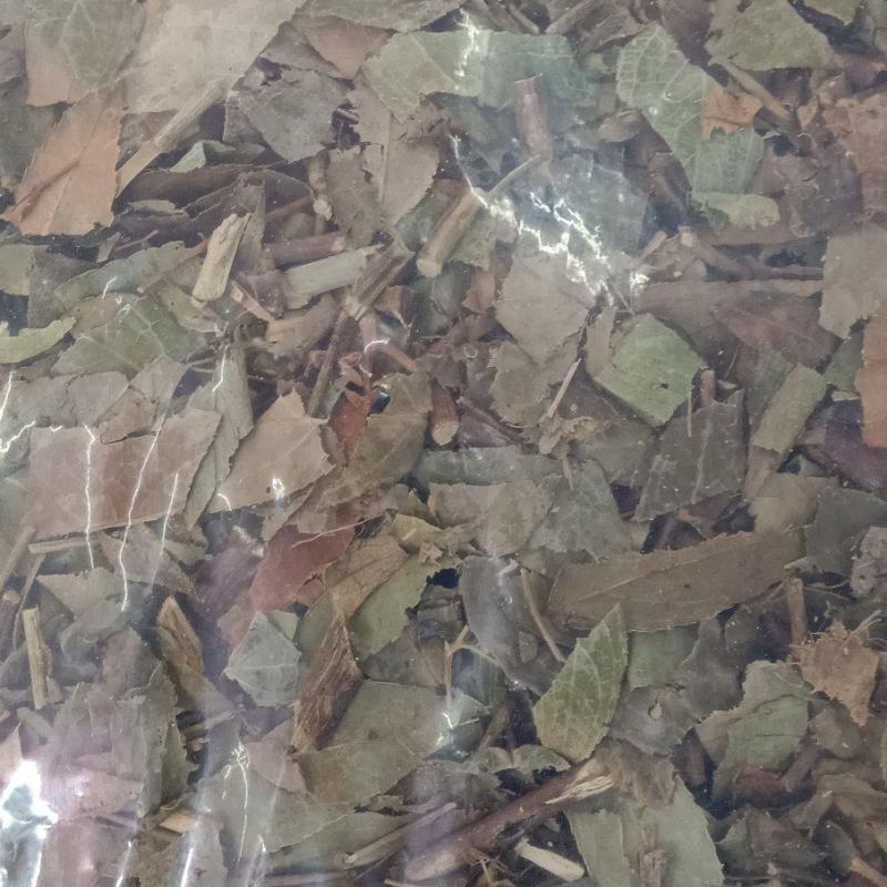 透骨草各种泡脚的中草药