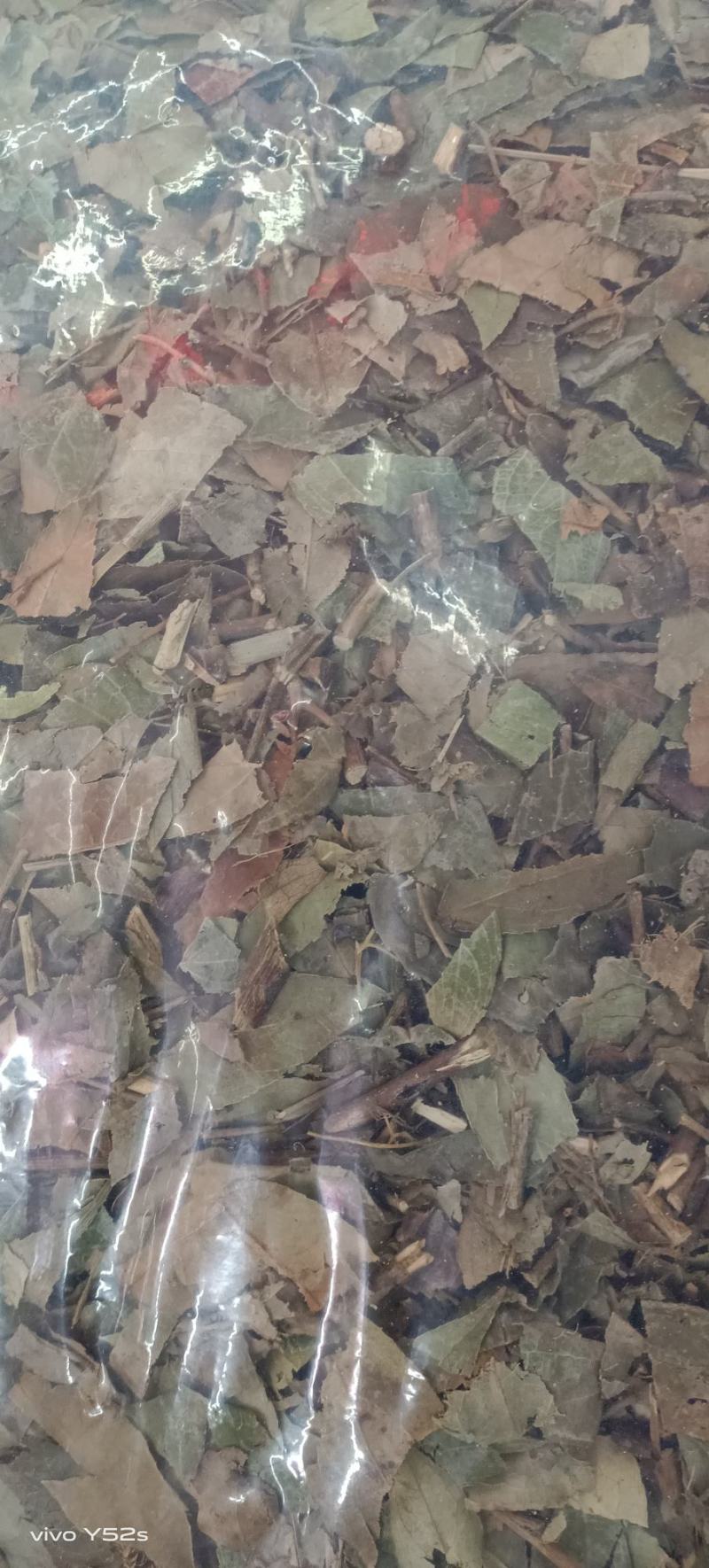 透骨草各种泡脚的中草药