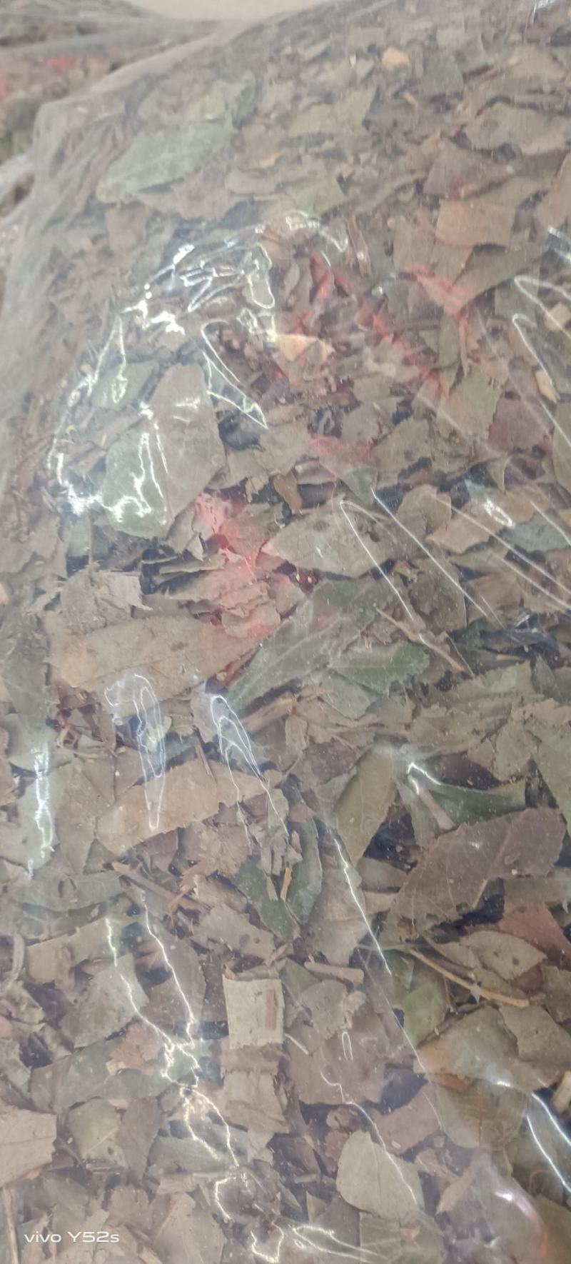 透骨草各种泡脚的中草药