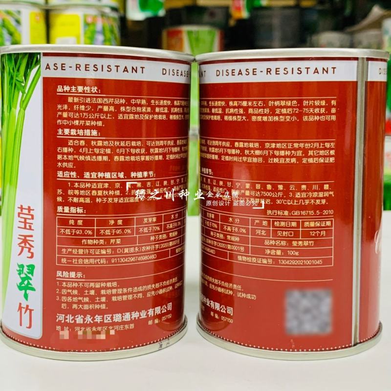 引进法国西芹莹秀翠竹西芹种子抗病高产纤维少根部小芹菜种子