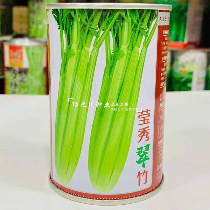 引进法国西芹莹秀翠竹西芹种子抗病高产纤维少根部小芹菜种子
