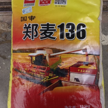 郑麦136小麦种子，原厂第一代原产量高，农户认可的好种子