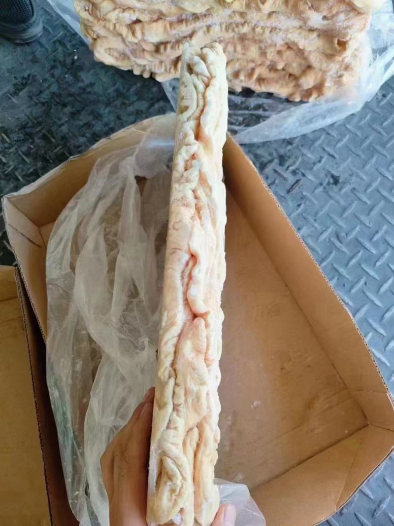 肥猪大肠