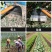 锄头种菜家用农具加厚锄草锰钢锄农用工具挖地多功能铲草除草