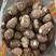 毛芋头山东芋头大量供应品质保证低价对接全国市场
