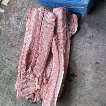 加拿大多肉背骨