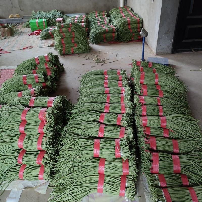 优质长豆角，产地一手货源，打捆，泡水，打冷服务，保质保量