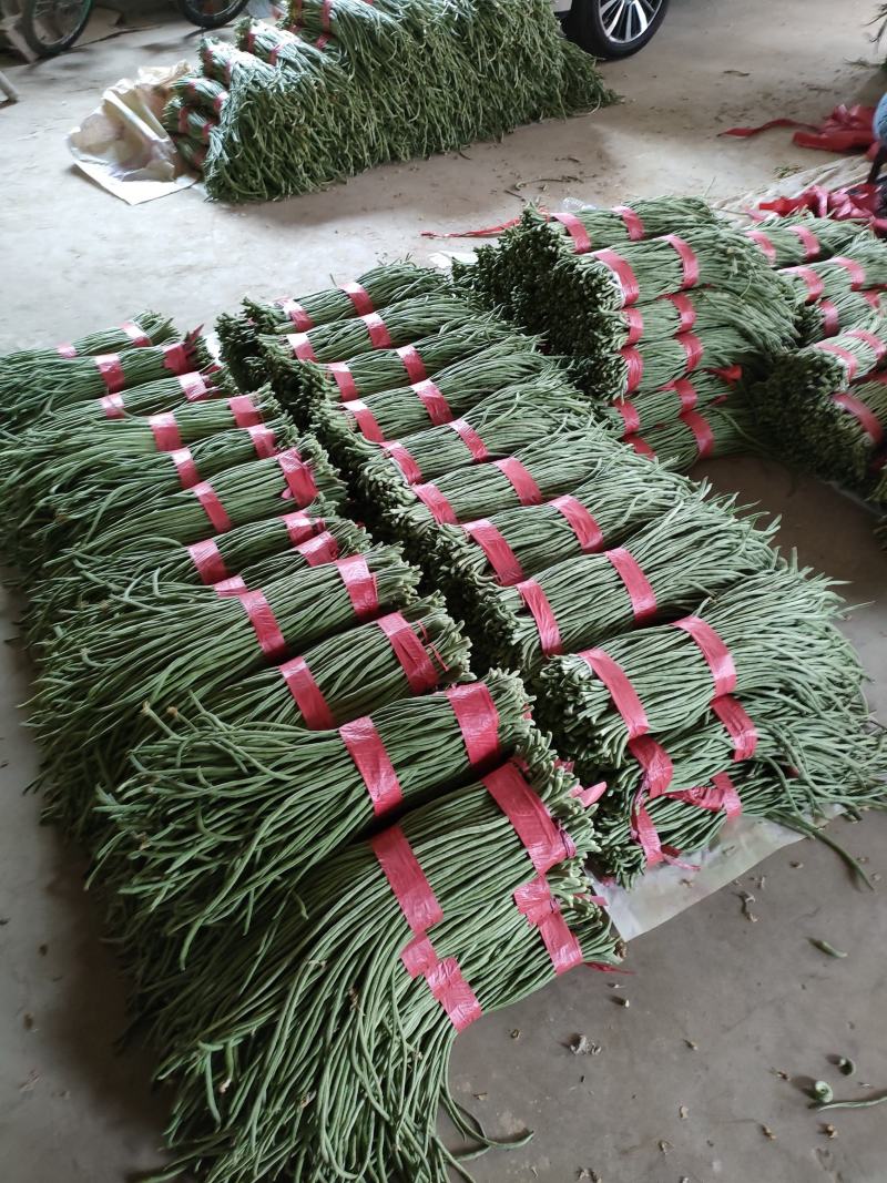 长豆角，现摘现发，一手货源，可实地考察看货，提供泡水打冷