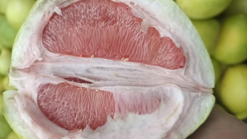 琯溪蜜柚