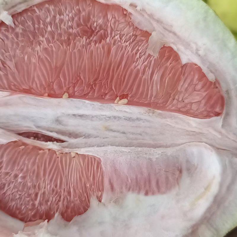 琯溪蜜柚