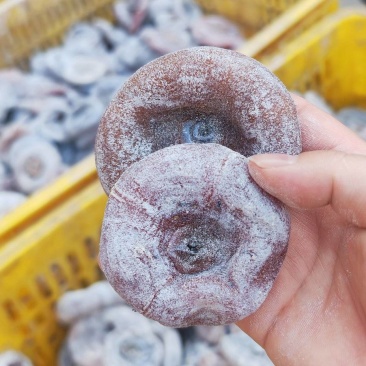 霜饼柿饼次饼桂林柿饼产地广西桂林平乐便宜货江湖源头柿子饼