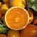【伦晚橙】爆汁脐橙，口感甜，产地直销，树上鲜果。
