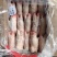 带筋前蹄20斤每件