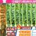 山东潍坊寿光特产肉丝瓜种子苗子露天丝瓜种子保护地丝瓜种子