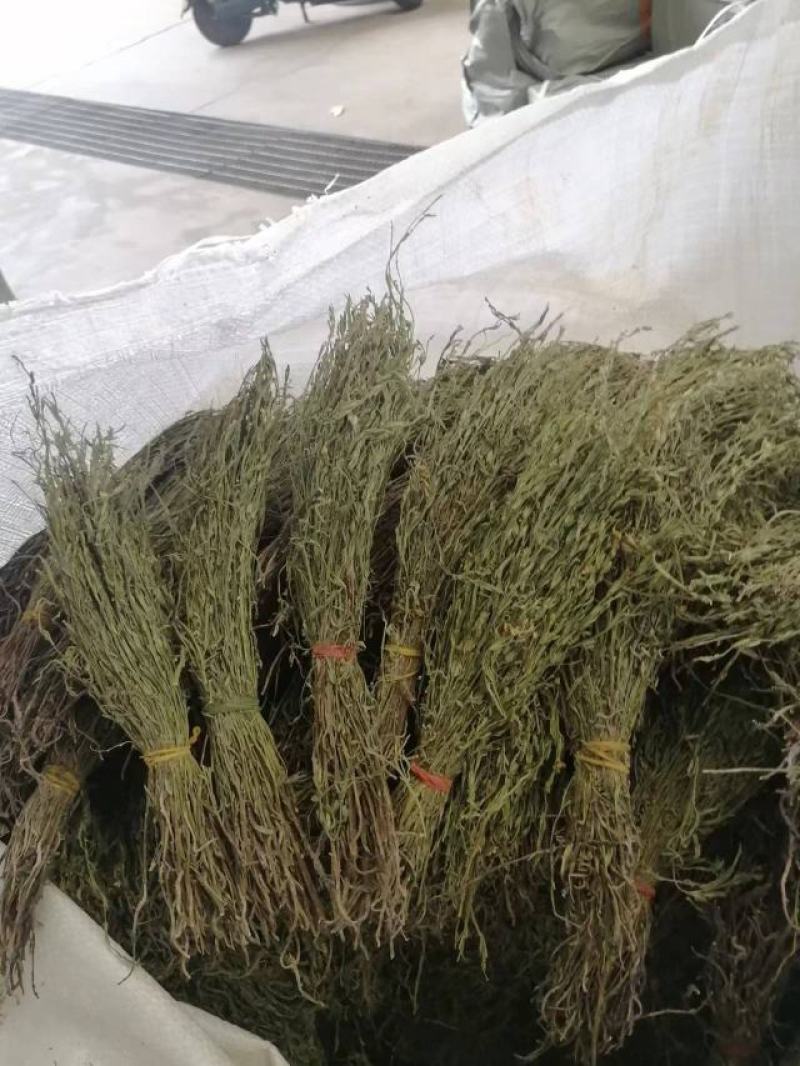 独脚金独脚柑独脚金新货上市独脚金干货大货批发