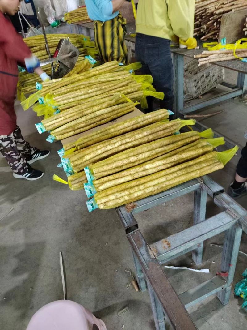 【推荐】小白嘴山药大量供应保质保量对接各大电商市场可致电