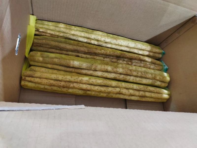 【推荐】小白嘴山药大量供应保质保量对接各大电商市场可致电