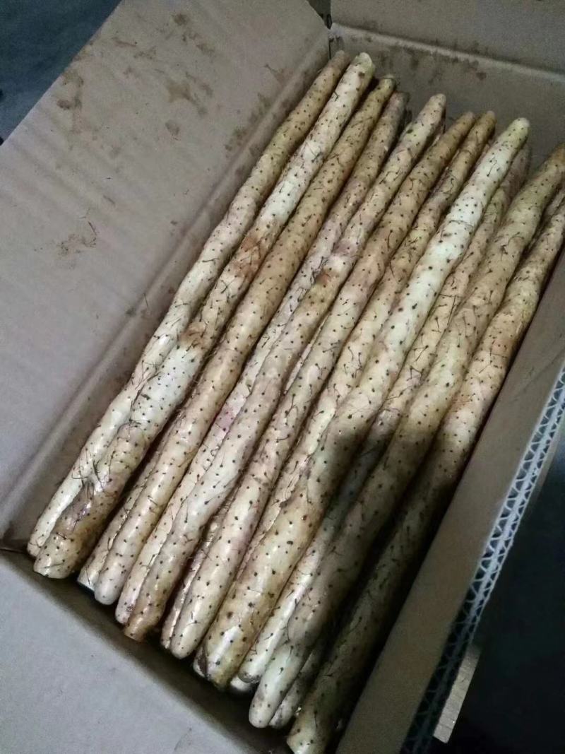 【推荐】小白嘴山药大量供应保质保量对接各大电商市场可致电