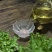 云南古树普洱茶品质厂家、普洱生茶百莺山古树龙珠