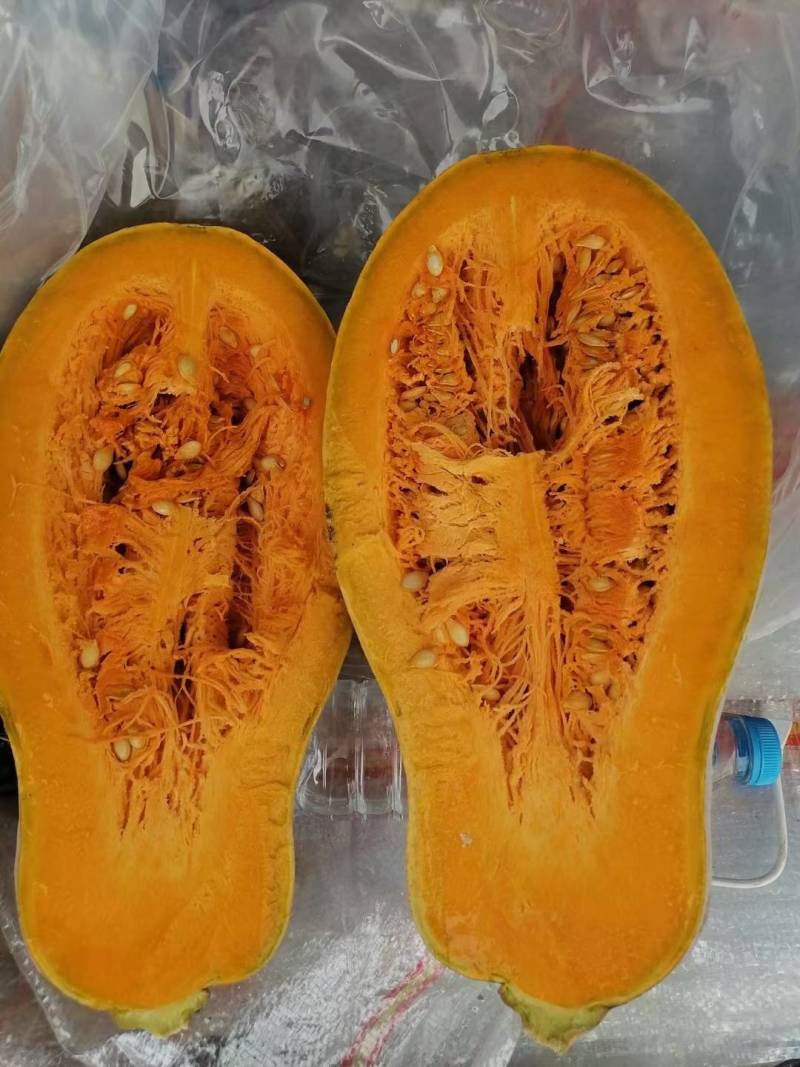 【精品】南瓜老南瓜湖北精品金韩蜜本南瓜产地直供